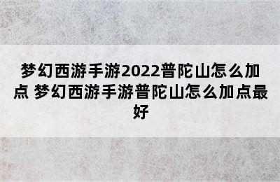 梦幻西游手游2022普陀山怎么加点 梦幻西游手游普陀山怎么加点最好